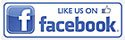 mini button for facebook